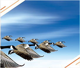 ���ſ�3��(�й���)�ٷ���վ