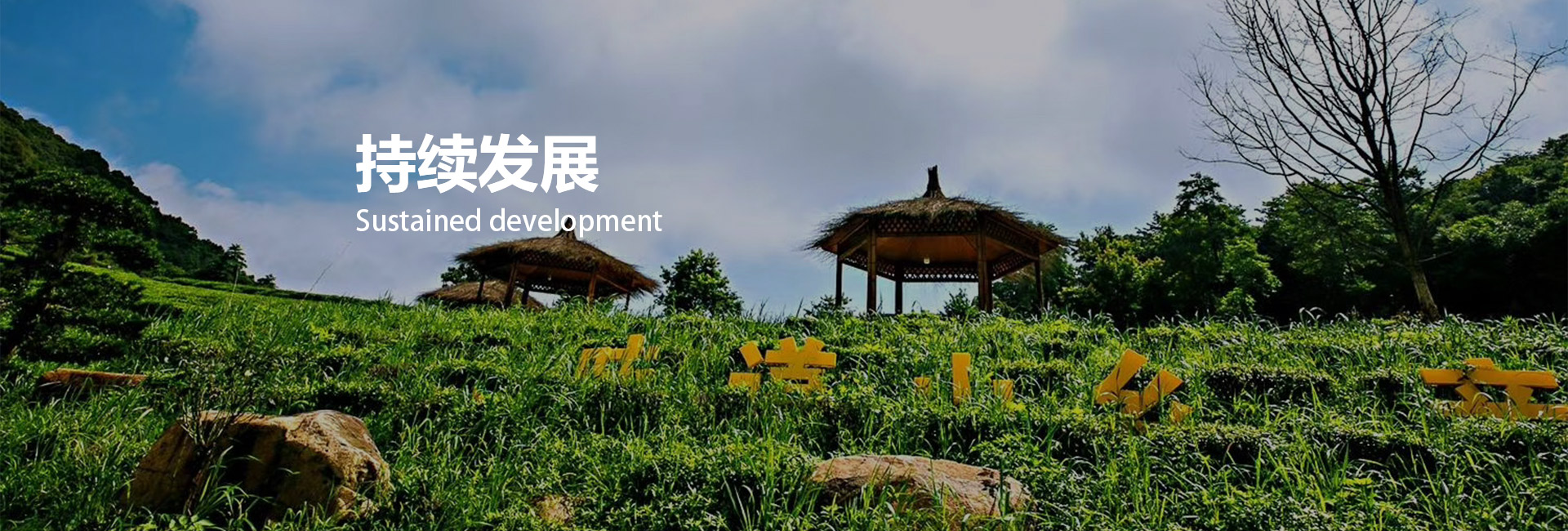 ���ſ�3��(�й���)�ٷ���վ